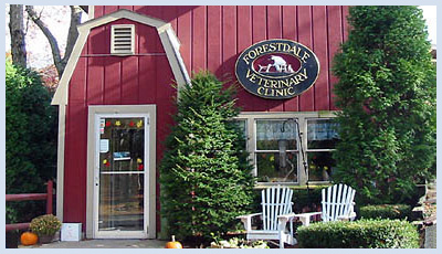 Forestdale Veterinary Clinic Located At The Animal Inn Boarding