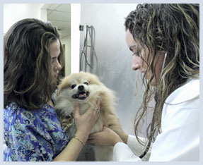 Forestdale Veterinary Clinic Medical Articles